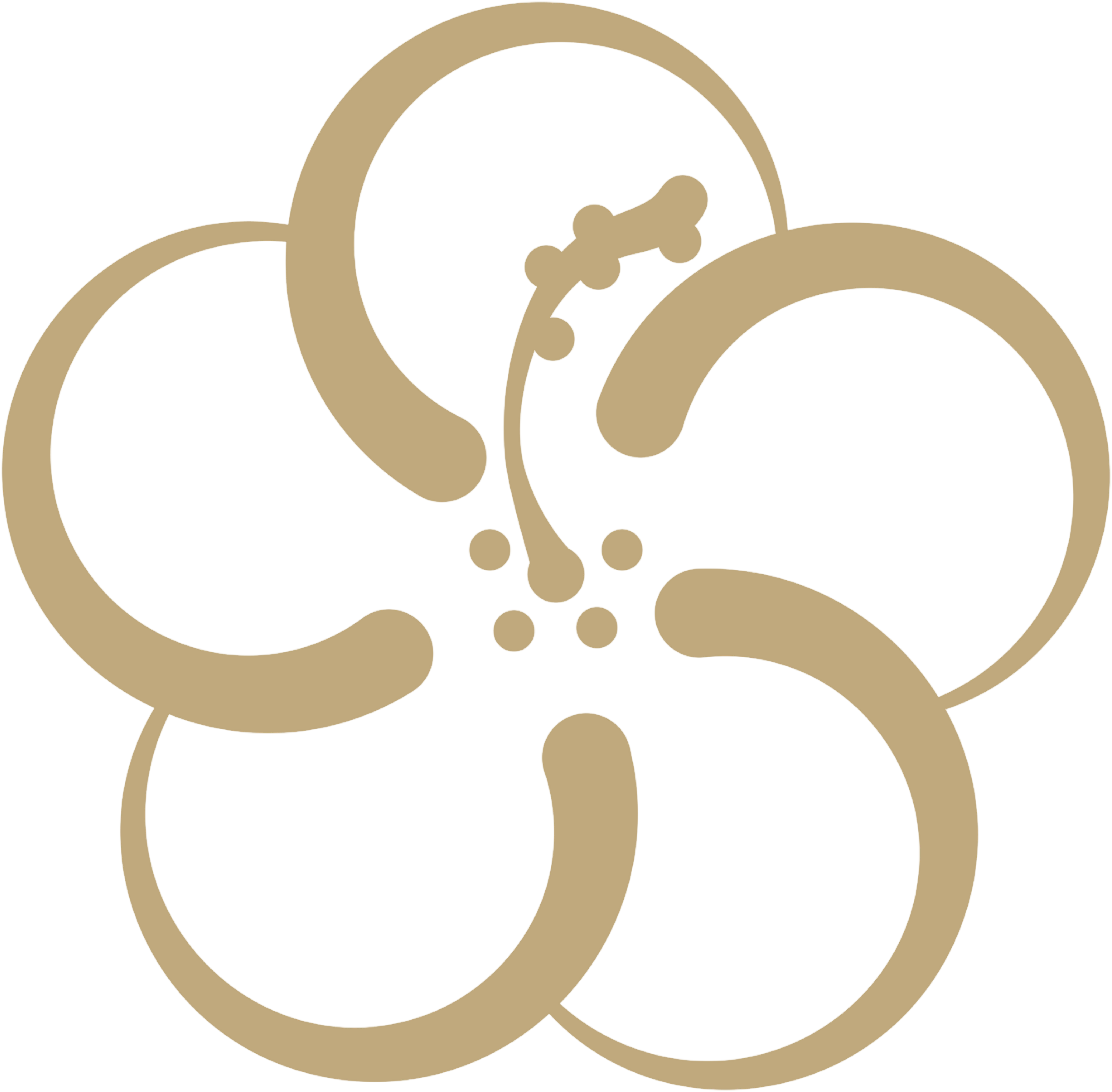 Groupe Hibiscus Organization logo