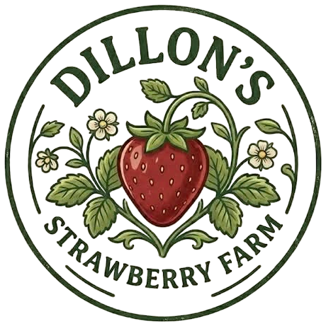 Dillon's Strawberry Farm logo — return to homepage