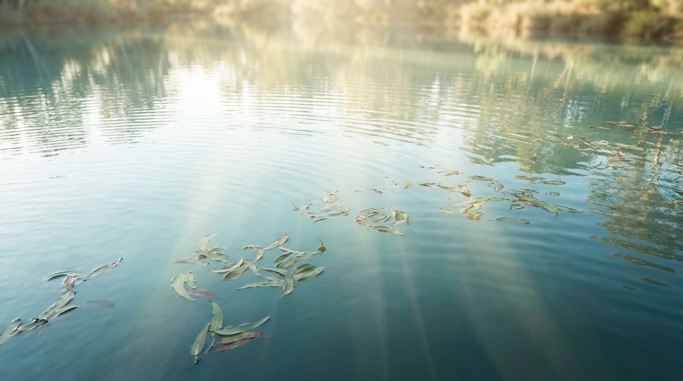 serene nature