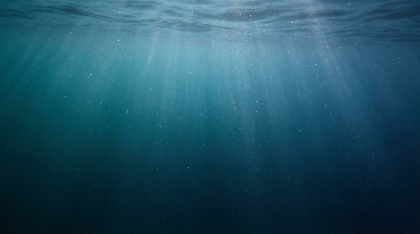 ocean cosmos